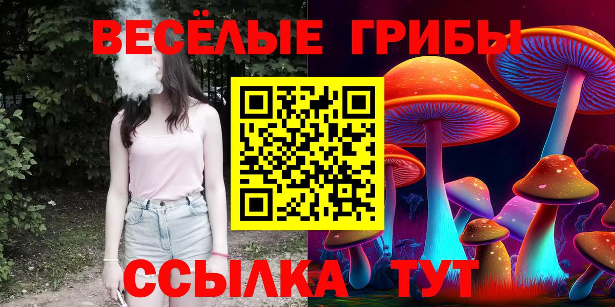 Галлюциногенные грибы прущие грибы Кировск