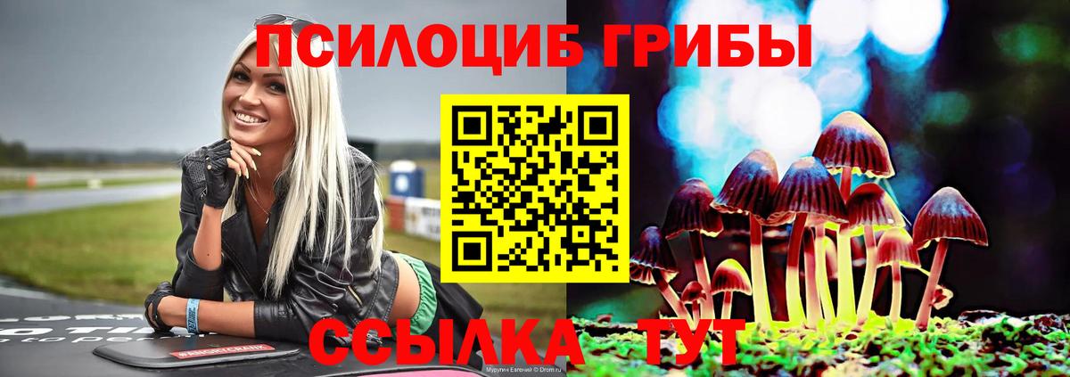 Псилоцибиновые грибы прущие грибы  магазин  наркотиков  Псилоцибиновые грибы MAGIC MUSHROOMS  Кировск  Вход с VPN 