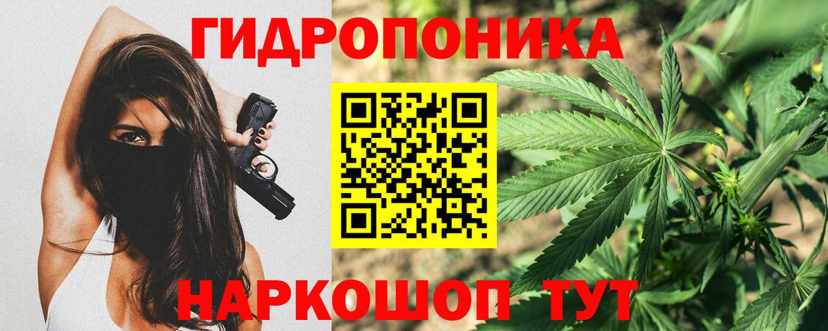 Бошки Шишки ГИДРОПОН Кировск